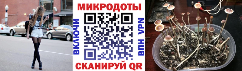 Псилоцибиновые грибы мицелий  Купить где  Собинка 